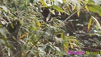 एक भावुक प्रेमी के रूप में ग्रामीण इलाकों में एक जंगली मुठभेड़ गांव की नौकरानी को जोरदार तरीके से ड्रिल करती है ताकि वह चरमोत्कर्ष पर पहुंच सके।